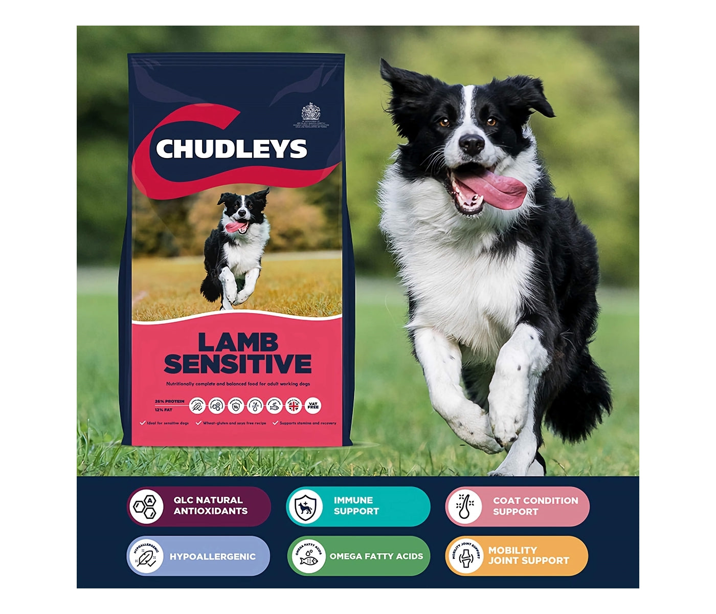 Chudleys - Lamb Sensitive (Working Dog Food) 14kg - Buy Online SPR Centre UK