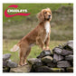 Chudleys - Lamb Sensitive (Working Dog Food) 14kg - Buy Online SPR Centre UK
