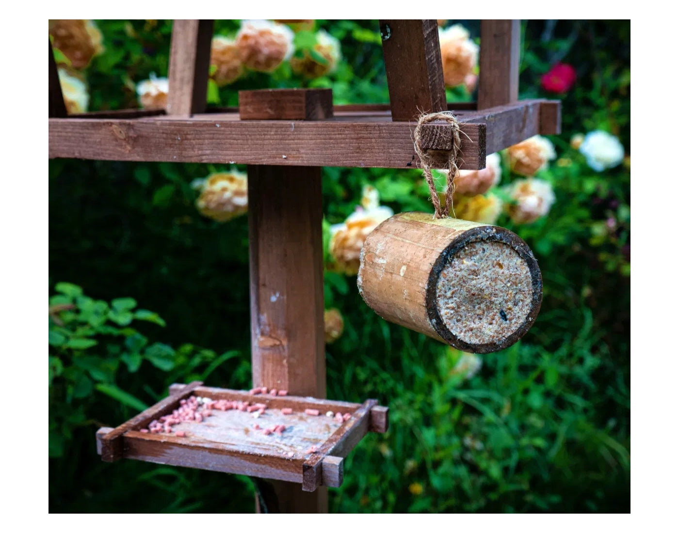 Copdock Mill - Bamboo Suet Feeder | Wild Bird Care - Buy Online SPR Centre UK