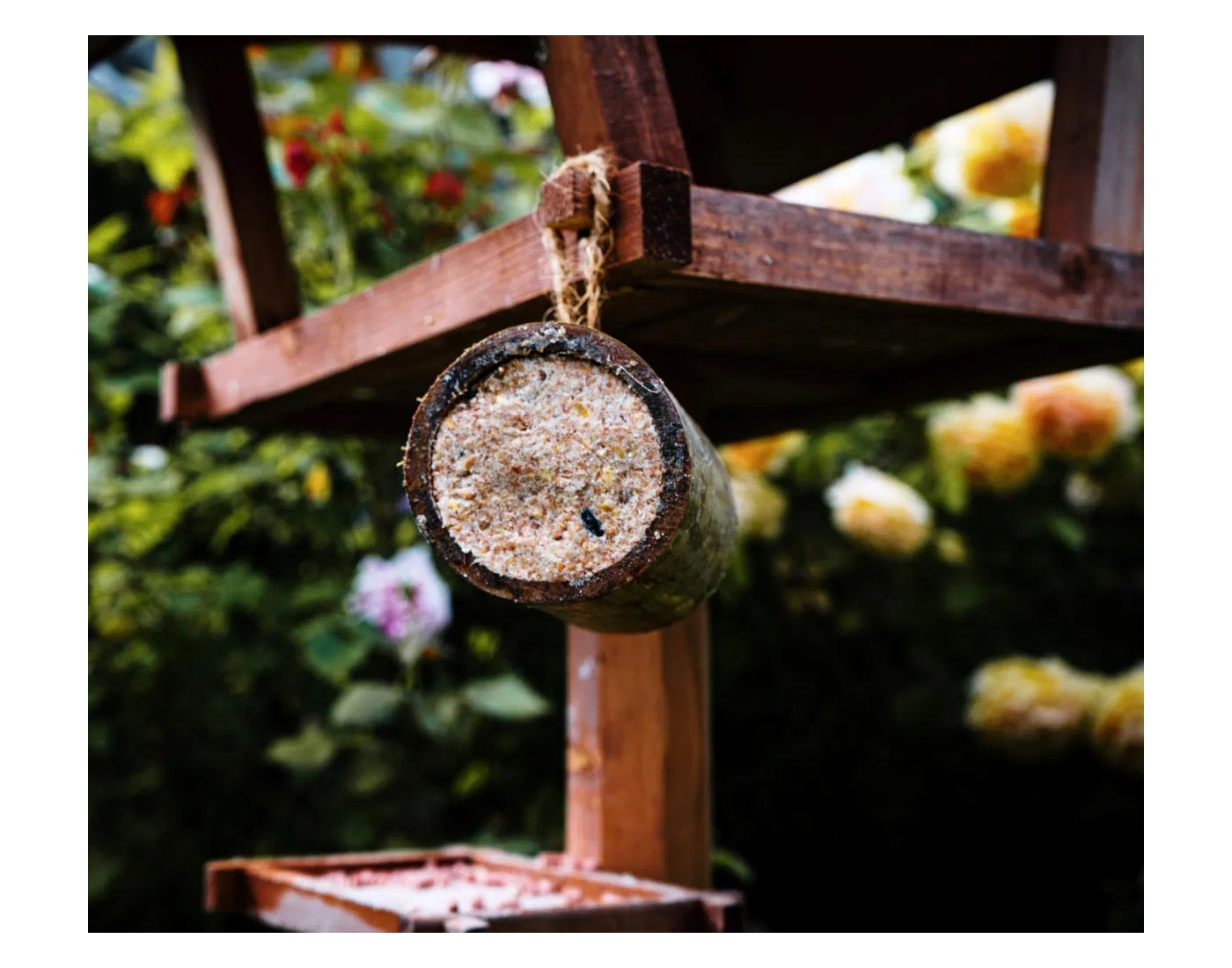 Copdock Mill - Bamboo Suet Feeder | Wild Bird Care - Buy Online SPR Centre UK