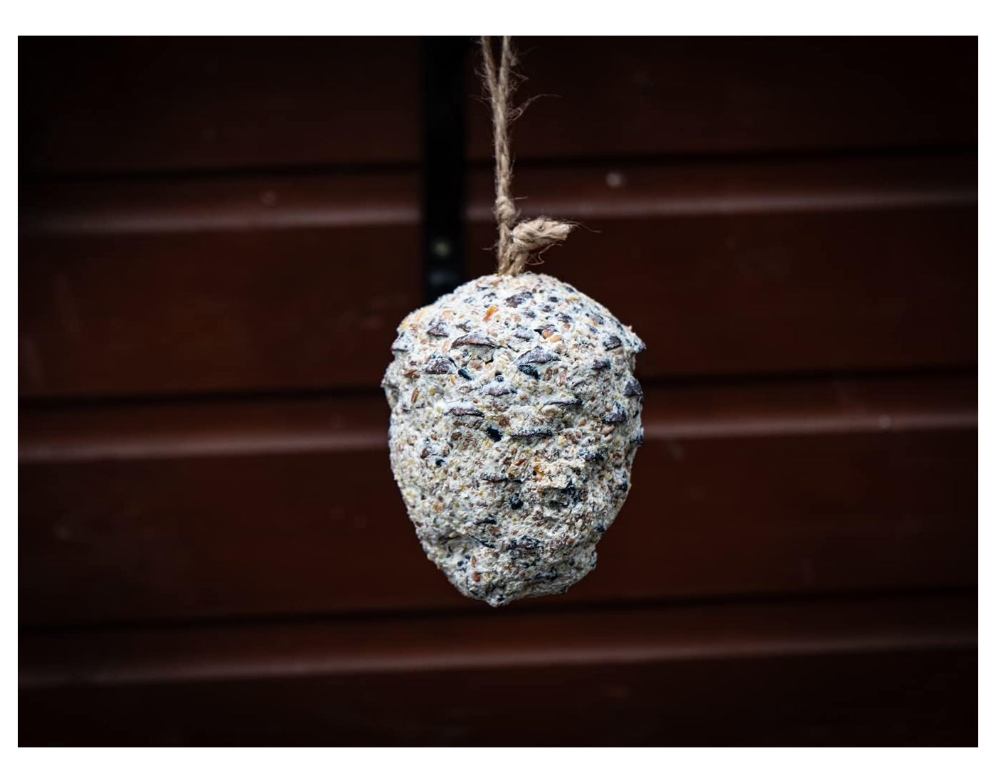 Copdock Mill - Giant Suet Cone with Seeds | Wild Bird Care - Buy Online SPR Centre UK