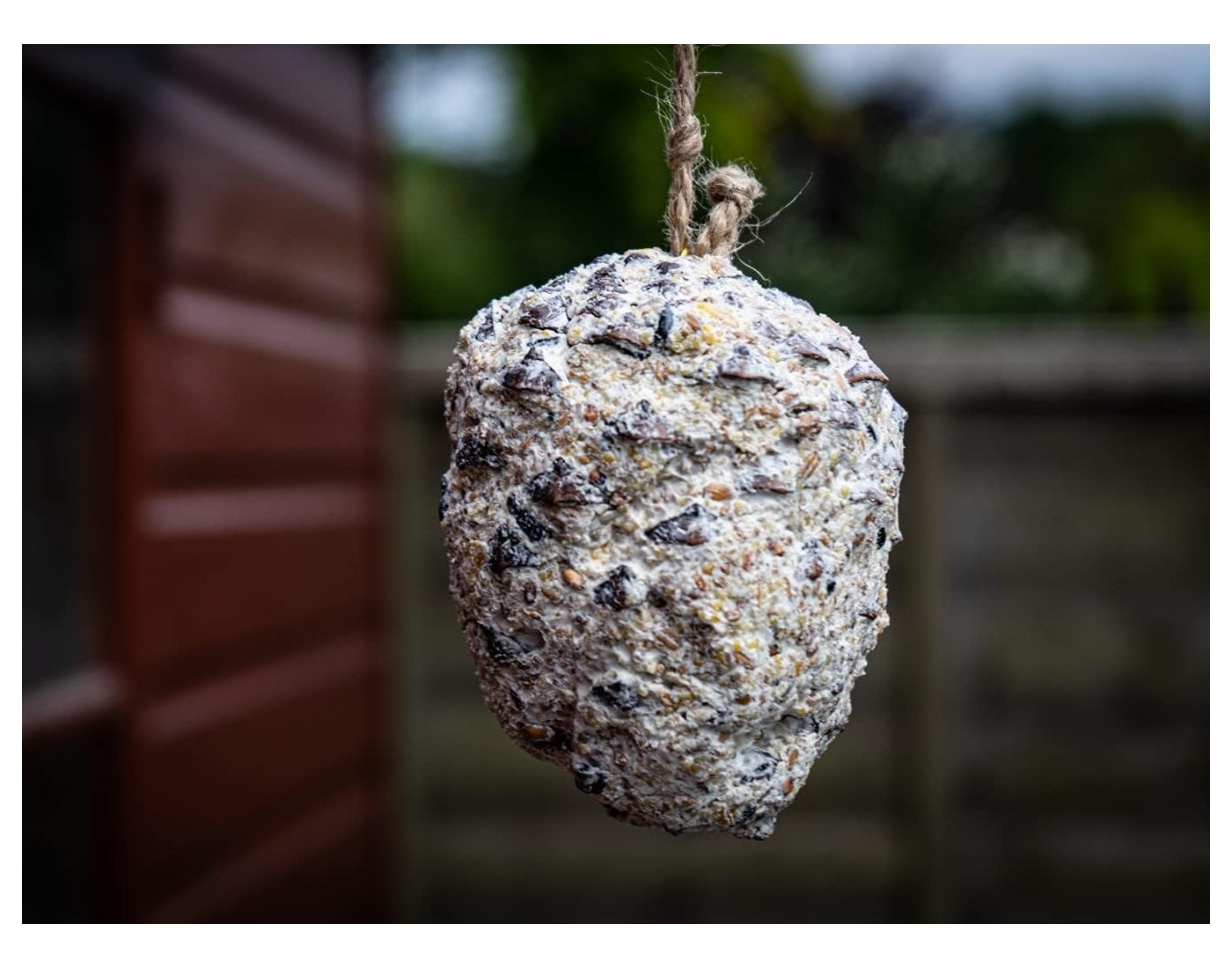 Copdock Mill - Giant Suet Cone with Seeds | Wild Bird Care - Buy Online SPR Centre UK