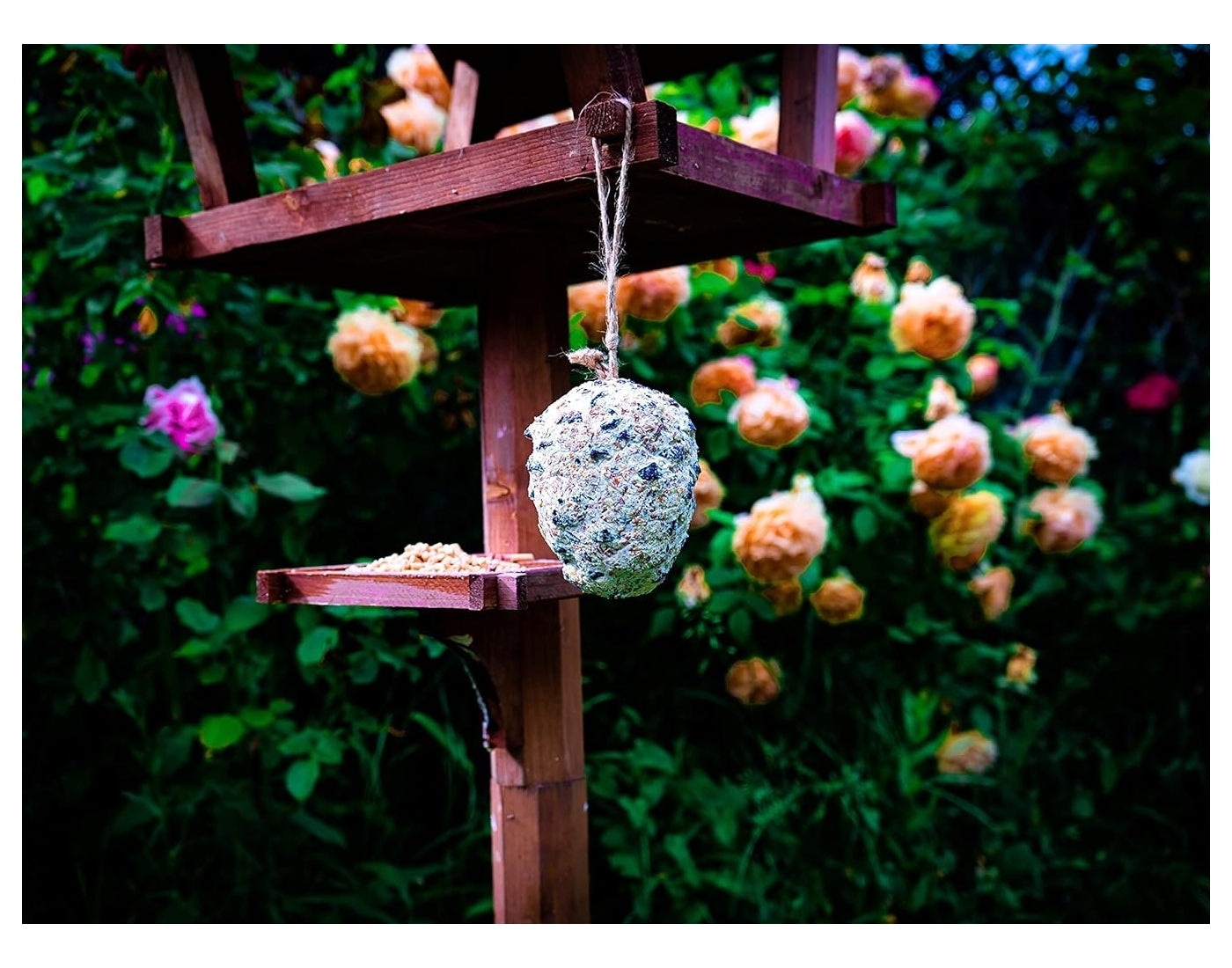 Copdock Mill - Giant Suet Cone with Seeds | Wild Bird Care - Buy Online SPR Centre UK