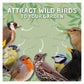 Copdock Mill - Superior Wild Bird Mix 2.5kg - Buy Online SPR Centre UK