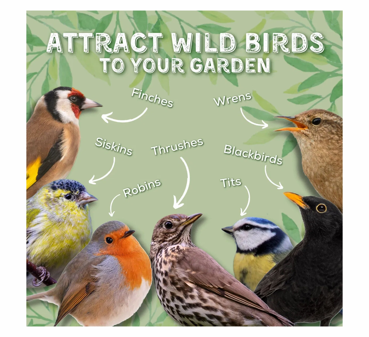 Copdock Mill - Superior Wild Bird Mix 2.5kg - Buy Online SPR Centre UK