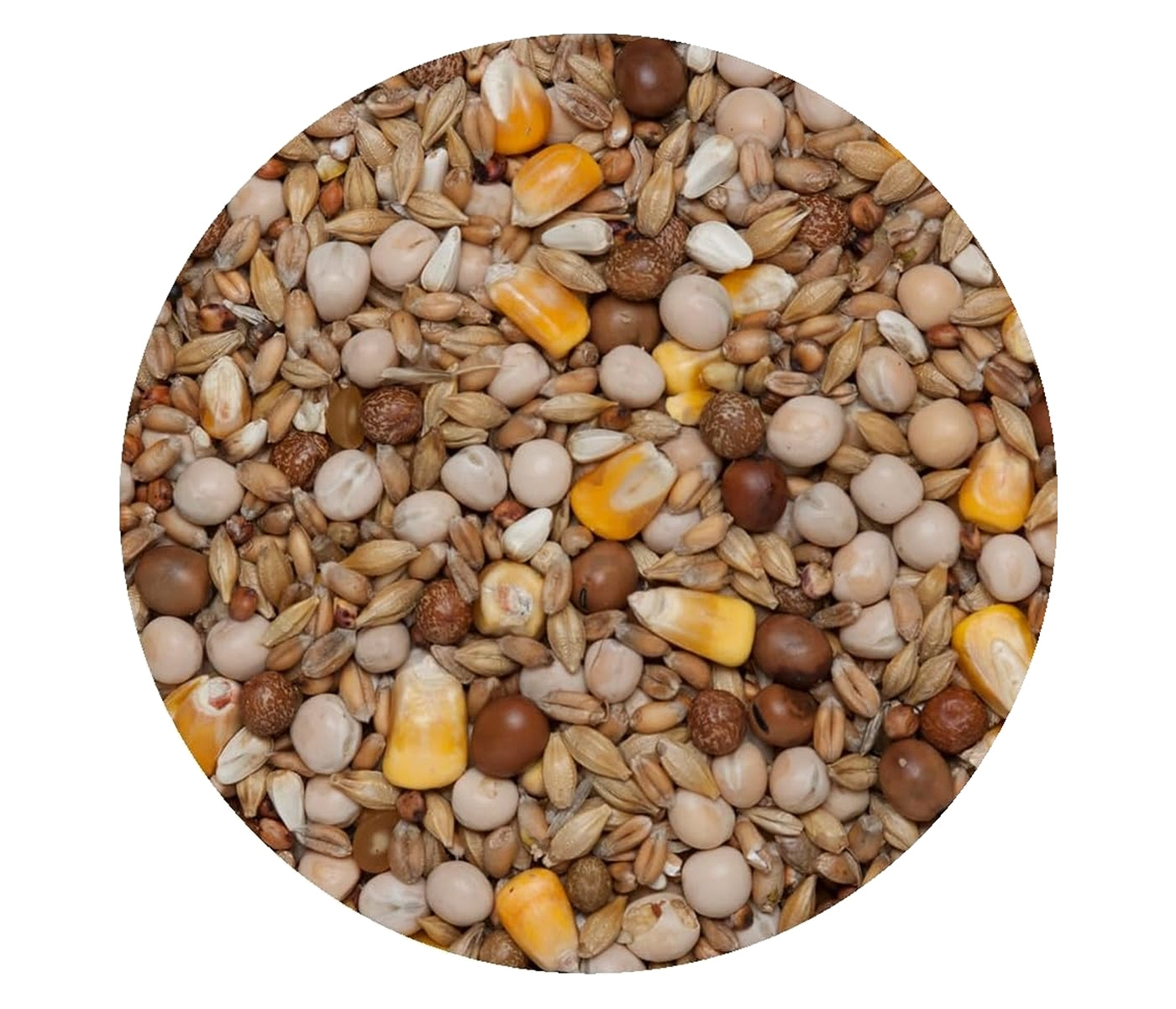 Copdock Mill - Economix Pigeon Corn 20kg - Buy Online SPR Centre UK