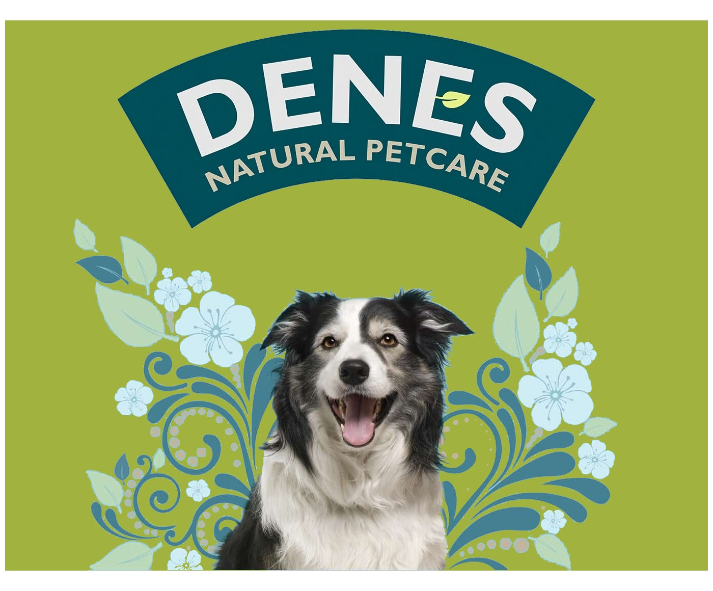 Denes - Adult Chicken with Rabbit & Herbs 12x400g - Buy Online SPR Centre UK