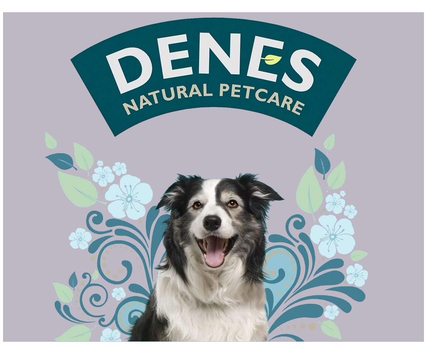 Denes - Senior with Chicken, Lamb, Rice & Herbs 12x400g - Buy Online SPR Centre UK