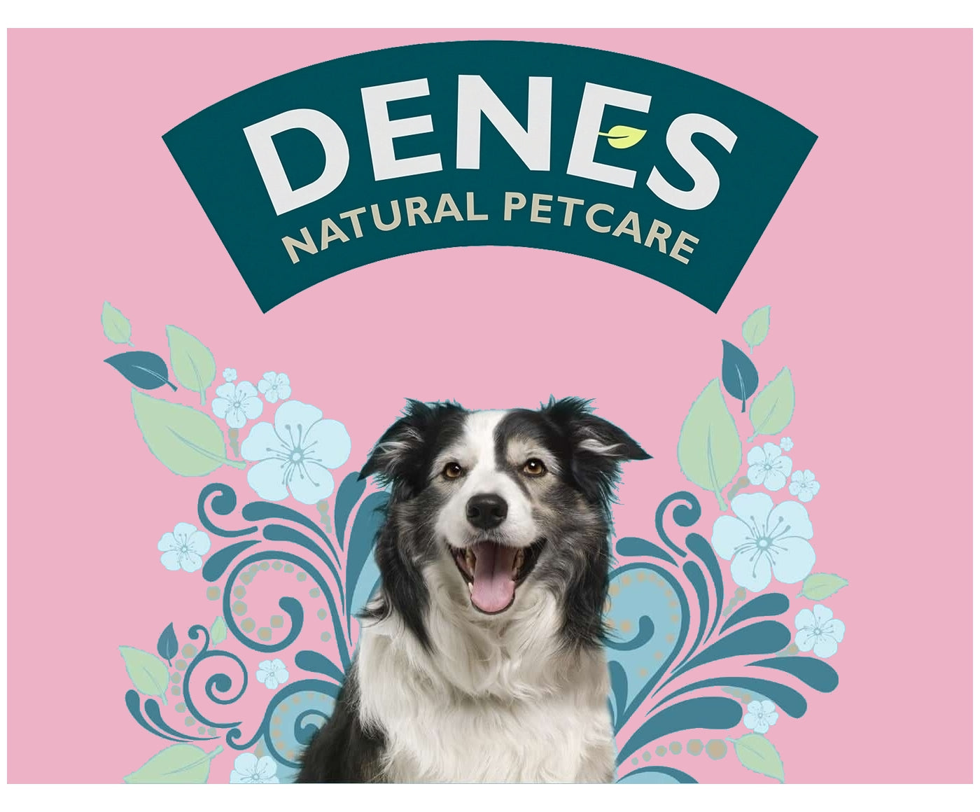 Denes - Senior with Turkey, Rabbit, Rice & Herbs 12x400g - Buy Online SPR Centre UK