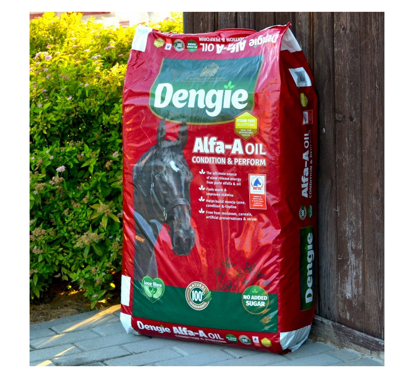 Dengie Alfa-A Oil | Horse Feed - Buy Online SPR Centre UK