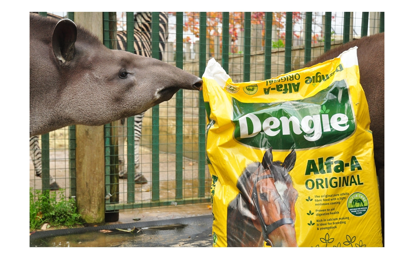 Dengie Alfa-A Original | Horse Feed - Buy Online SPR Centre UK