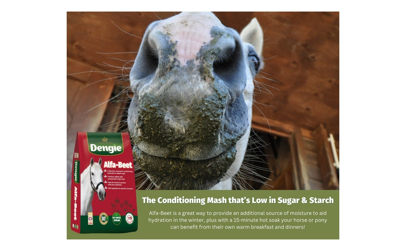 Dengie - Alfa-Beet | Horse Feed - Buy Online SPR Centre UK