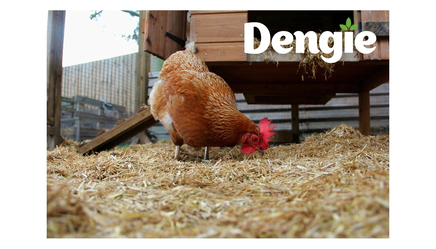 Dengie - Fresh Bed for Chickens 100 litres - Buy Online SPR Centre UK