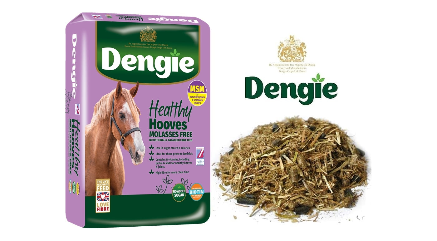 Dengie Hi Fi Lite 20 kg – Mangime per cavalli Dengie Hi Fi Lite 20 kg – Mangime per cavalli