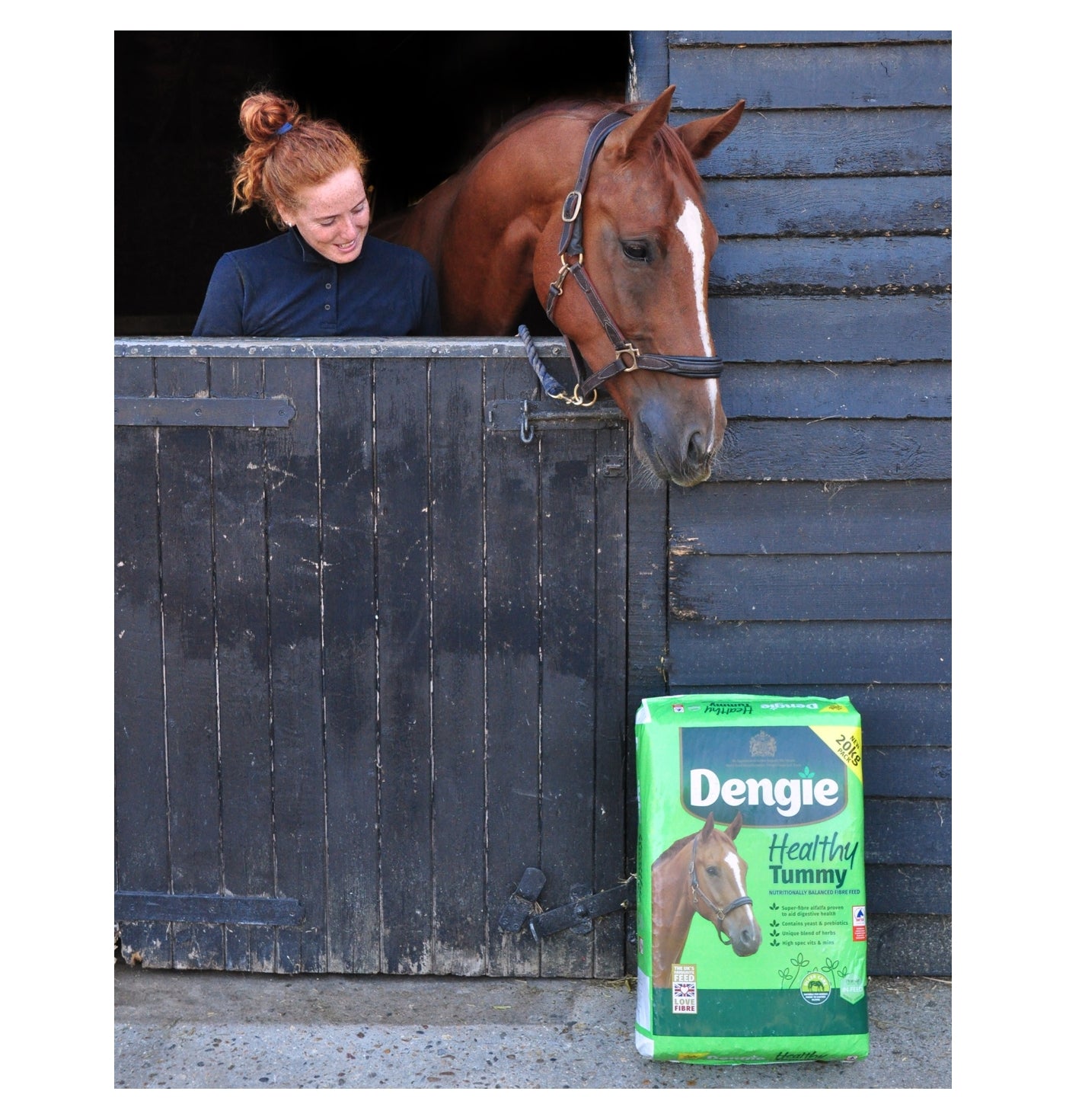 Dengie Healthy Tummy | Horse Feed - Buy Online SPR Centre UK