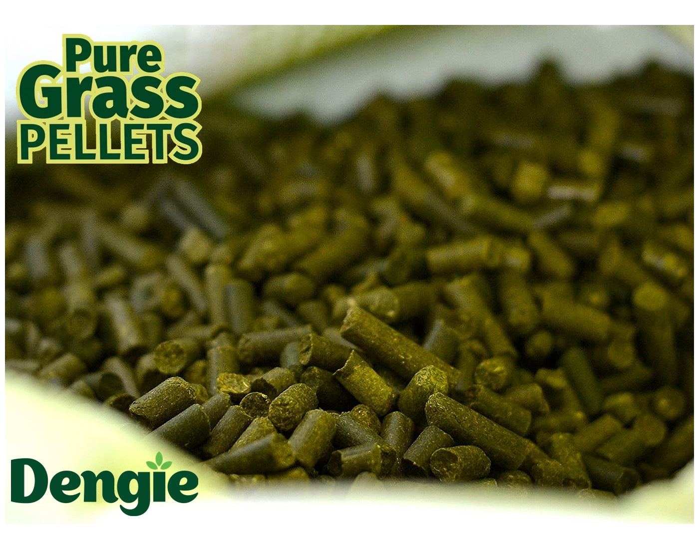 Dengie - Pure Grass Pellets 20kg - Buy Online SPR Centre UK