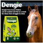 Dengie - Pure Grass Pellets 20kg - Buy Online SPR Centre UK