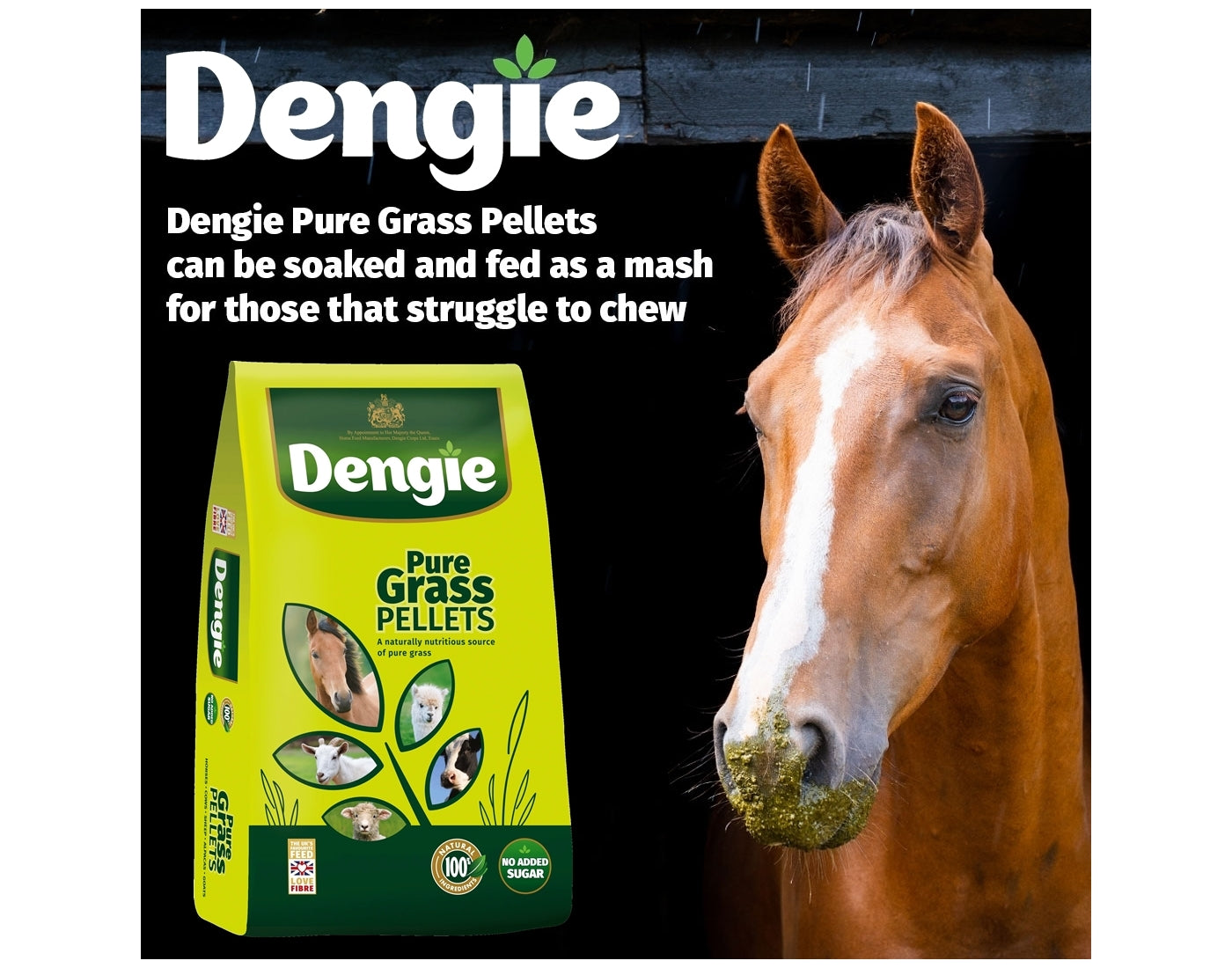 Dengie - Pure Grass Pellets 20kg - Buy Online SPR Centre UK