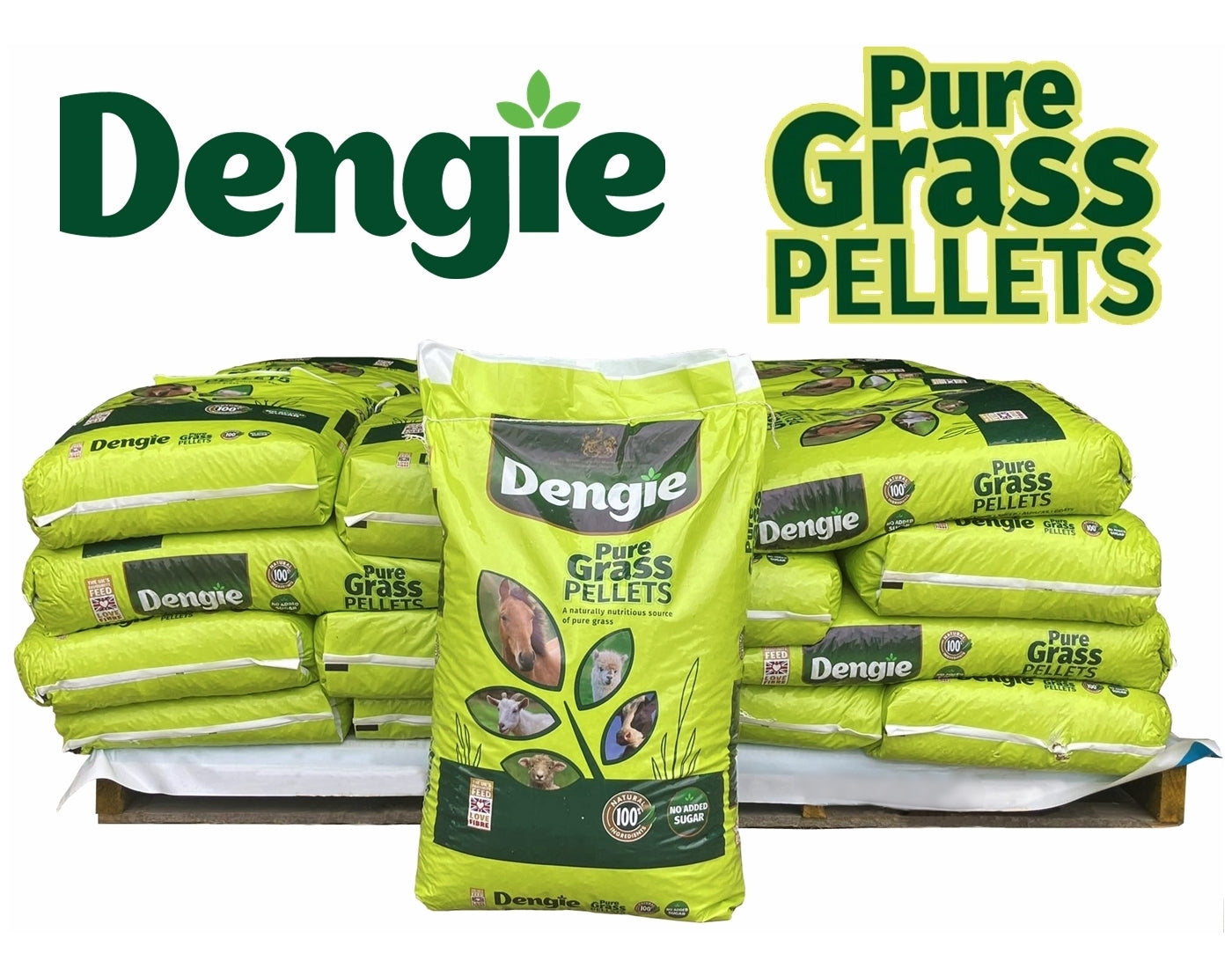 Dengie - Pure Grass Pellets 20kg - Buy Online SPR Centre UK