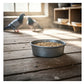 Galvanised Feeder Pans for Poultry, Pigeons and Wild Birds
