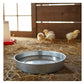 Galvanised Feeder Pans for Poultry, Pigeons and Wild Birds