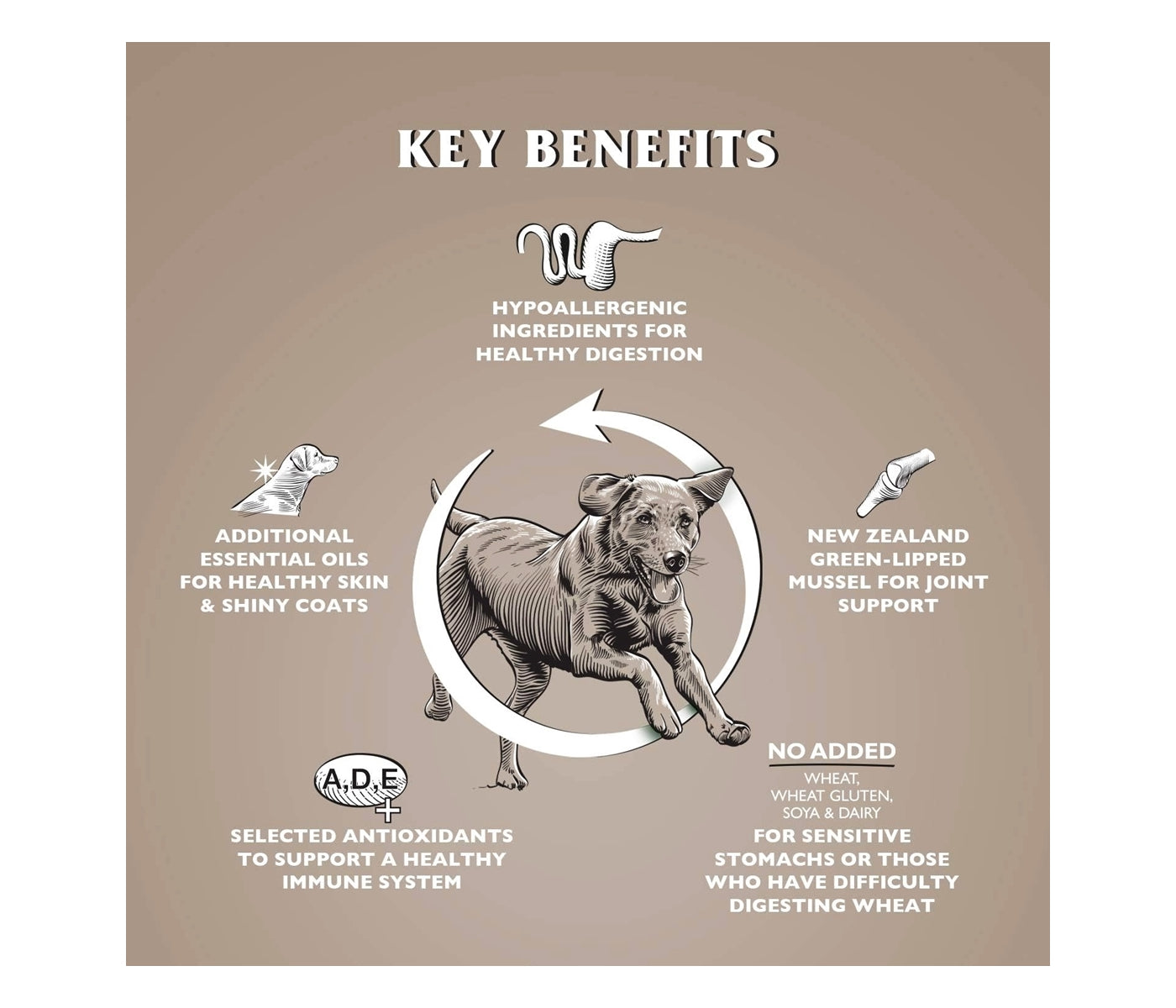 Dr. John Grain-Free Chicken & Potato 12.5kg - Buy Online SPR Centre UK