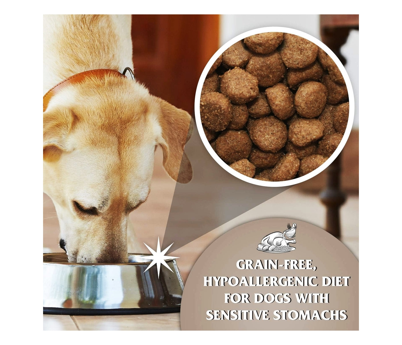 Dr. John Grain-Free Chicken & Potato 12.5kg - Buy Online SPR Centre UK