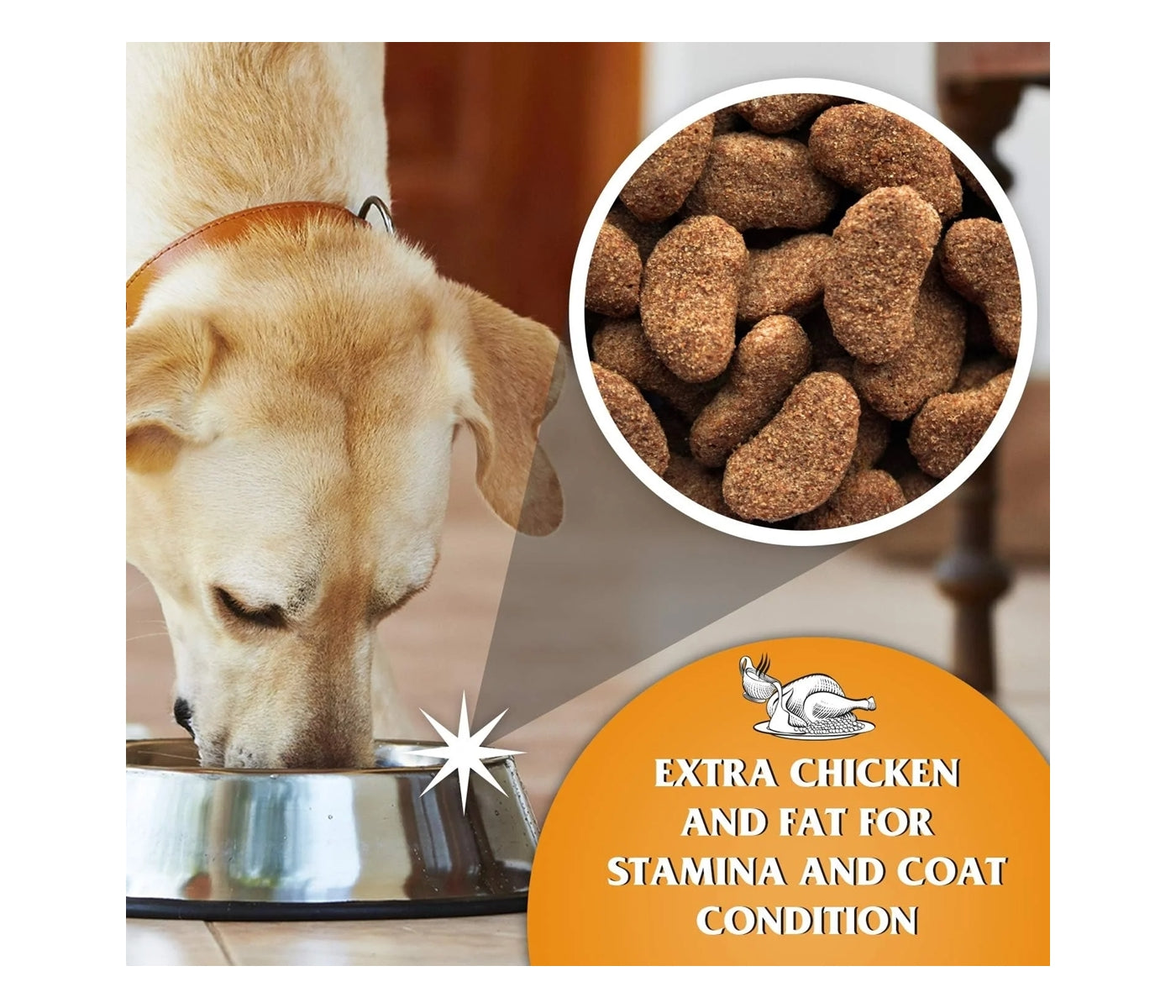 Dr. John Gold - Rich in Chicken with Veg & Gravy 15kg - Buy Online SPR Centre UK