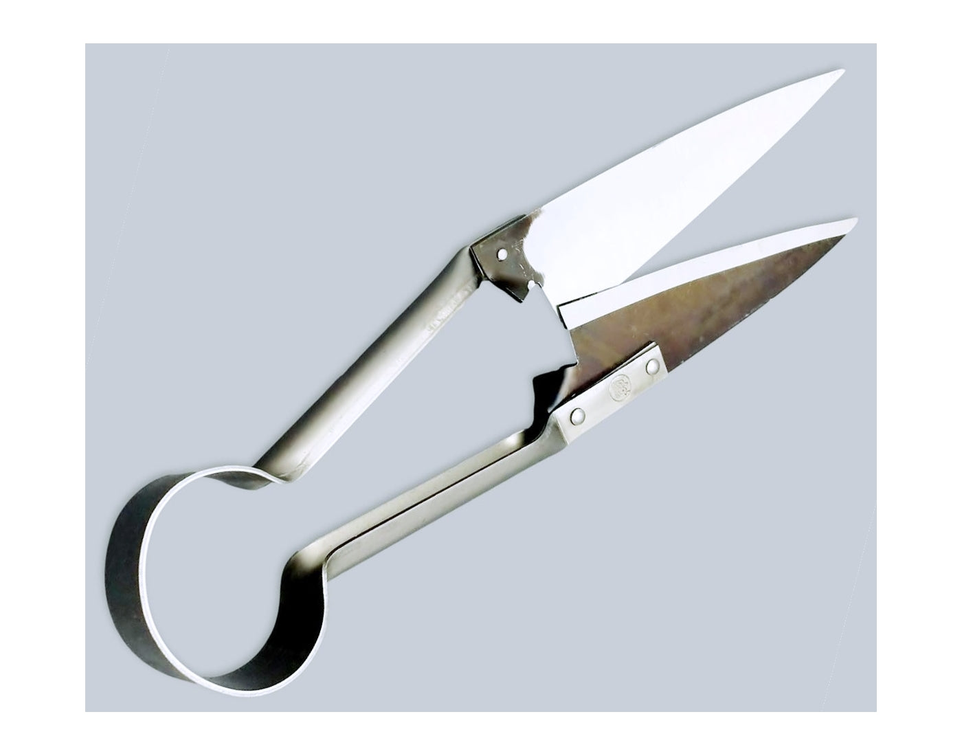 Due Buoi - Single Bow Straight Shears - Buy Online SPR Centre UK