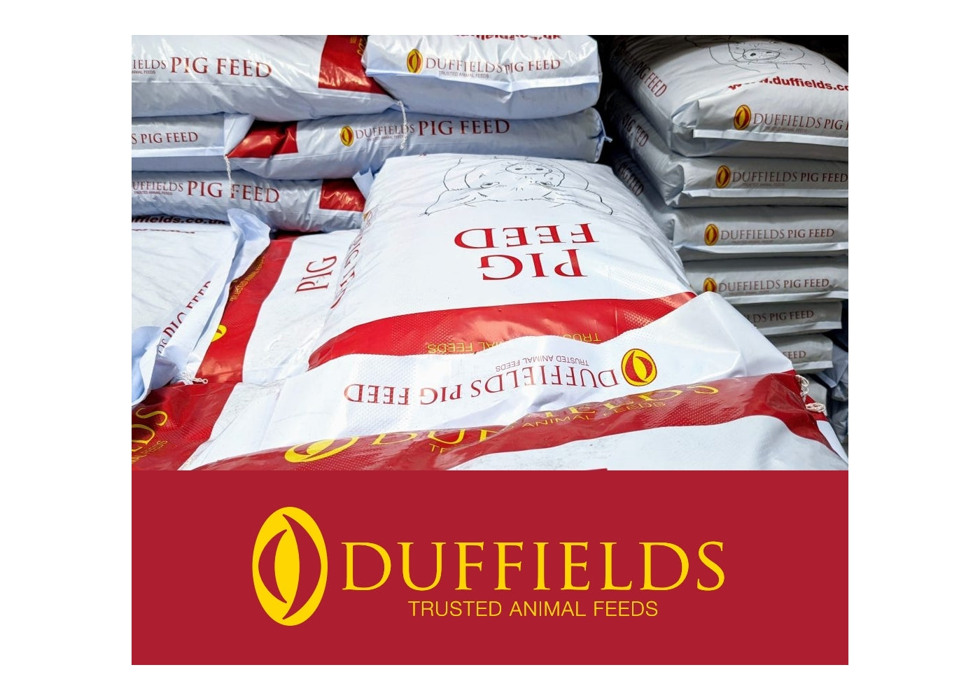 Duffields - Sow Rolls 20kg | Pig Feed - Buy Online SPR Centre UK