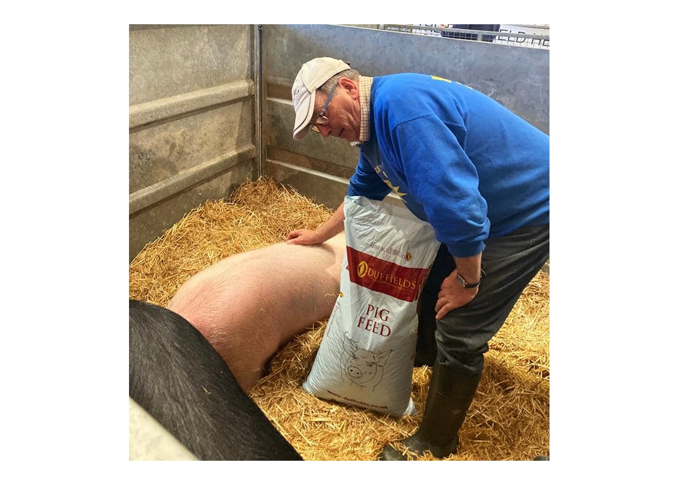 Duffields - Sow Rolls 20kg | Pig Feed - Buy Online SPR Centre UK