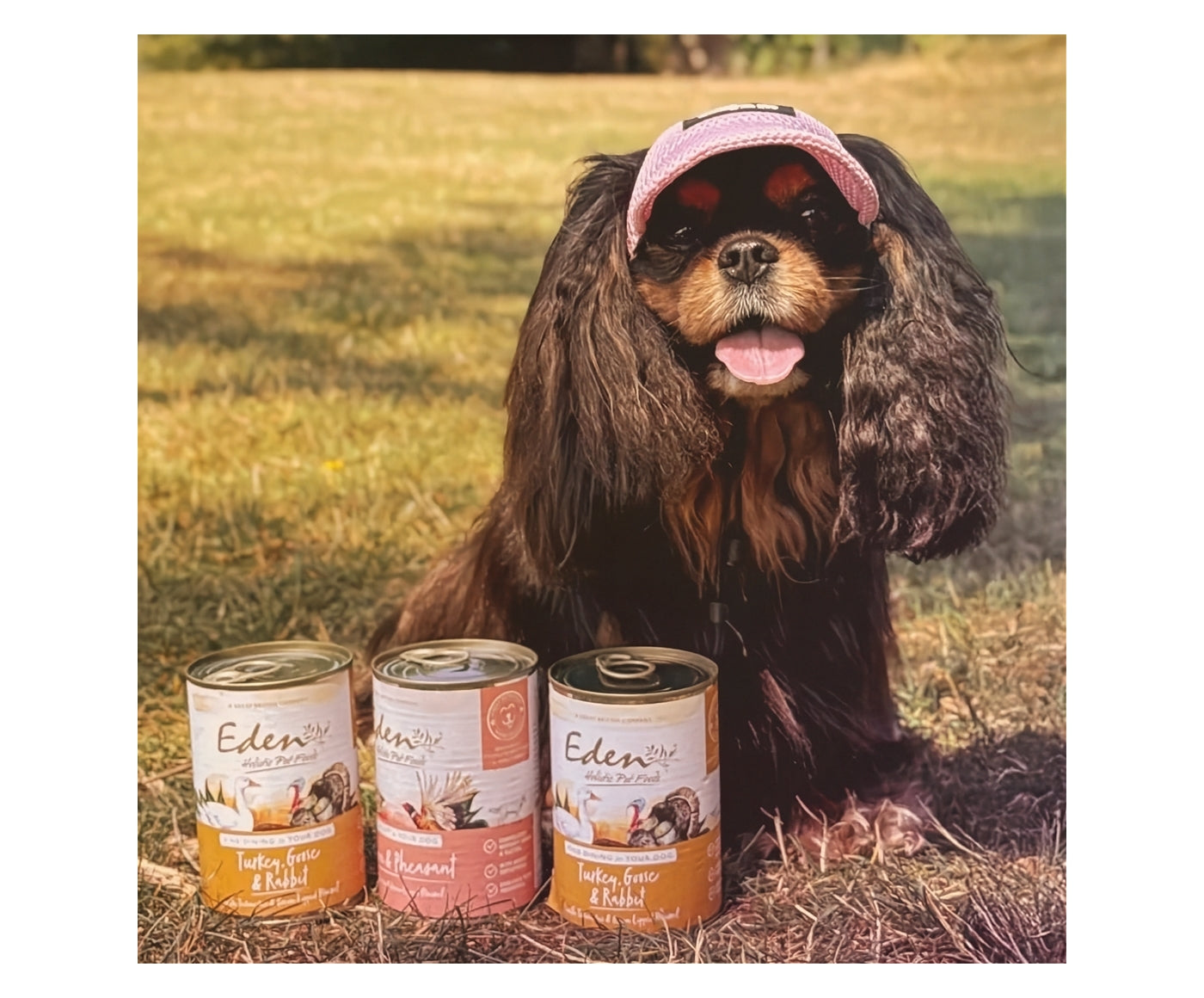 Eden - Gourmet Turkey, Goose & Rabbit Wet Dog Food - Buy Online SPR Centre UK