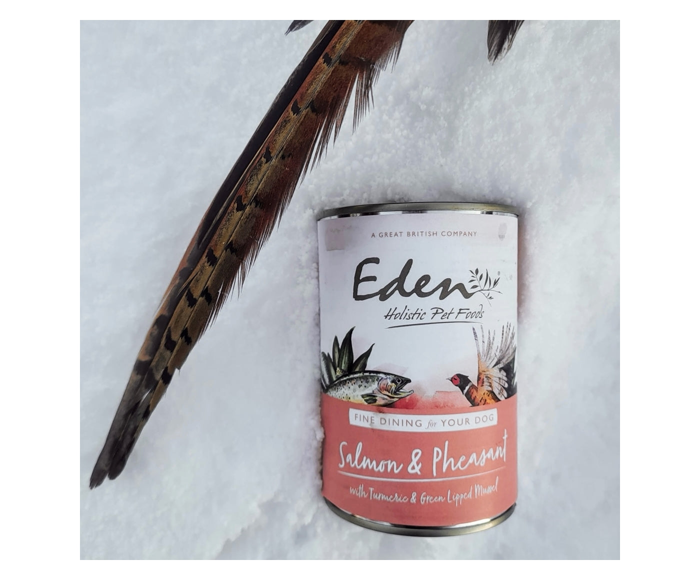 Eden - Gourmet Salmon & Pheasant Wet Dog Food - Buy Online SPR Centre UK