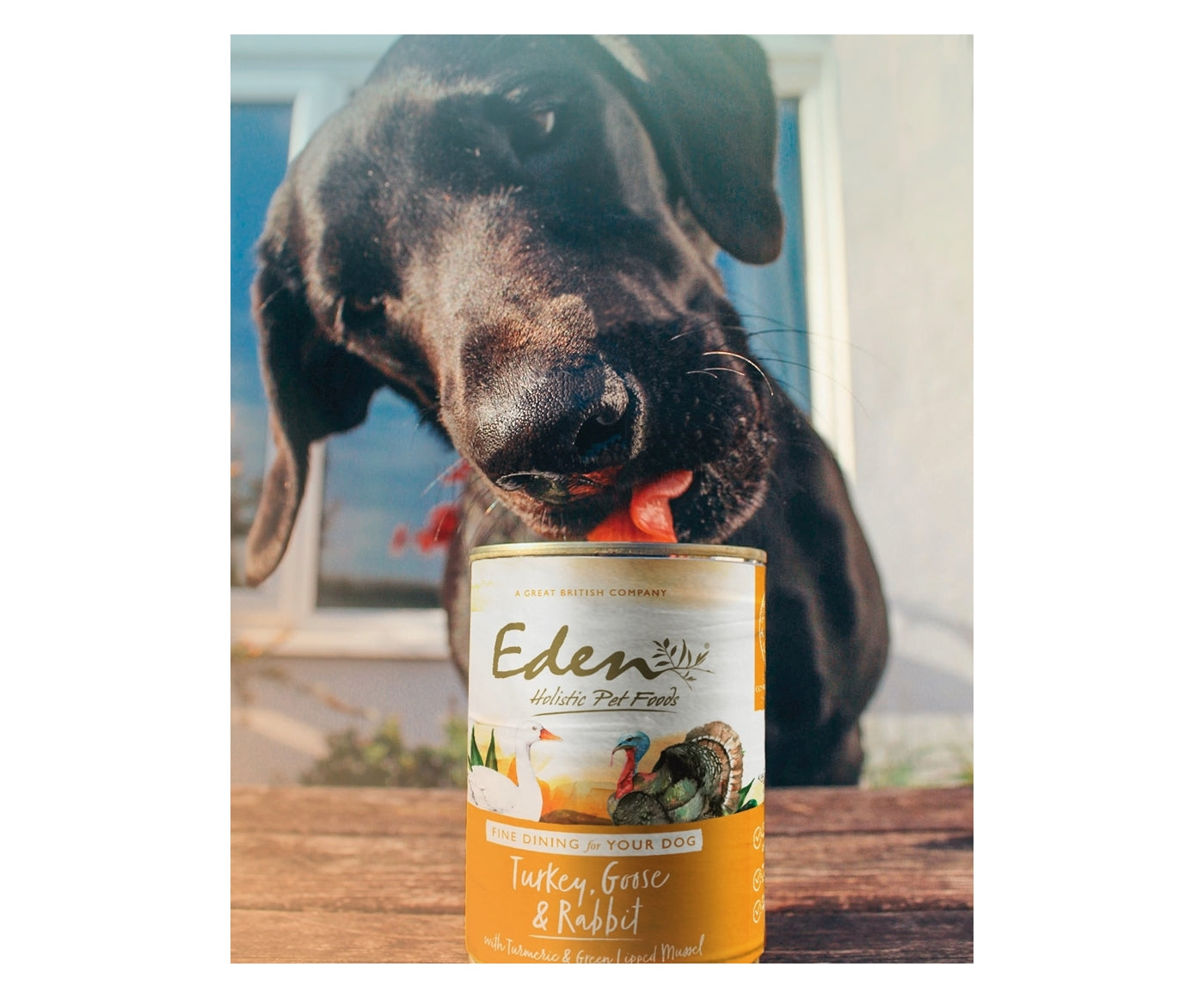 Eden - Gourmet Turkey, Goose & Rabbit Wet Dog Food - Buy Online SPR Centre UK