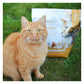 Eden - Turkey with Chicken Dry Cat Food - Buy Online SPR Centre UK