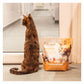 Eden - Turkey with Chicken Dry Cat Food - Buy Online SPR Centre UK