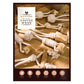 Elkwood - Coffee Wood - Knot & Ball Dog Toy - Buy Online SPR Centre UK