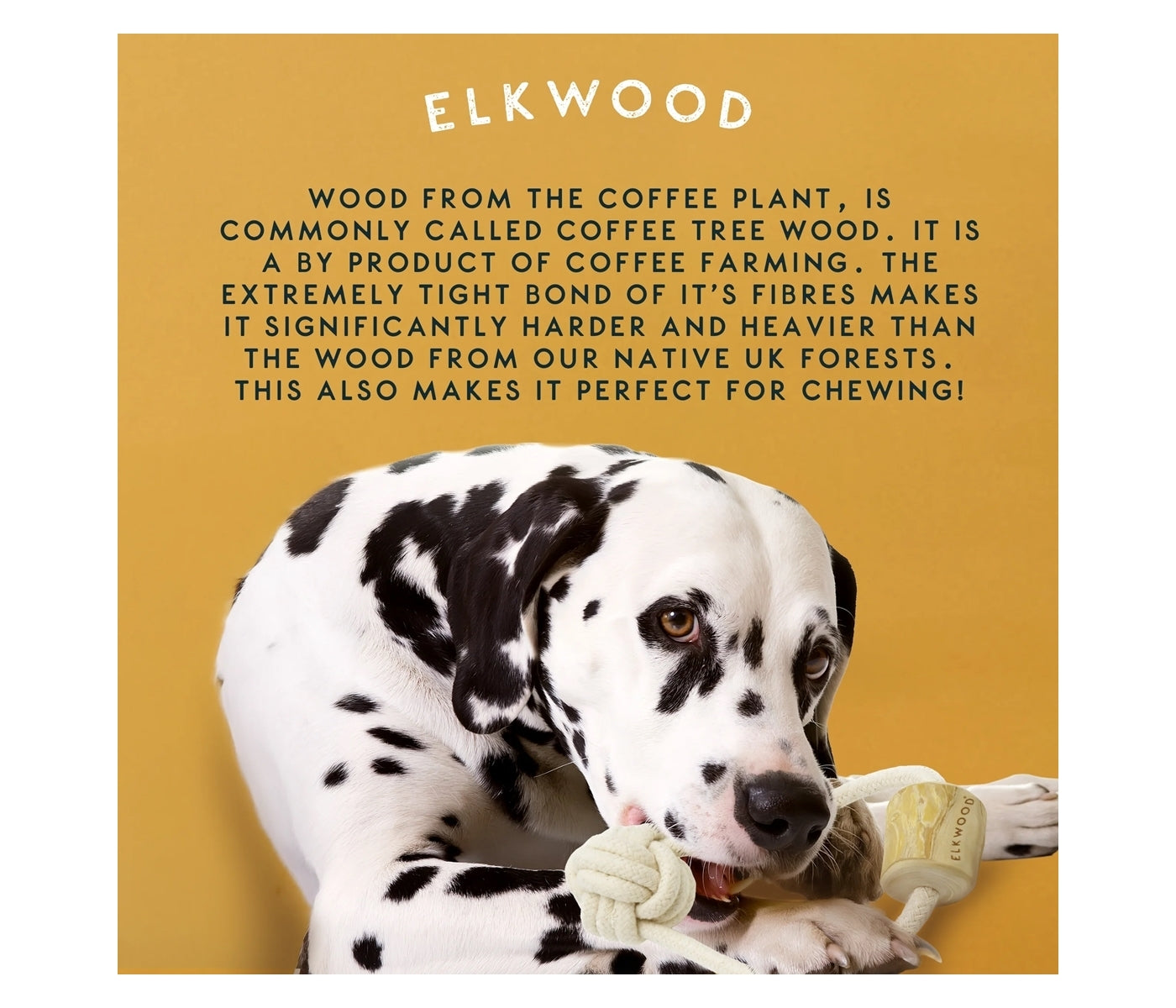 Elkwood - Coffee Wood Double Rope Dog Toy - Buy Online SPR Centre UK