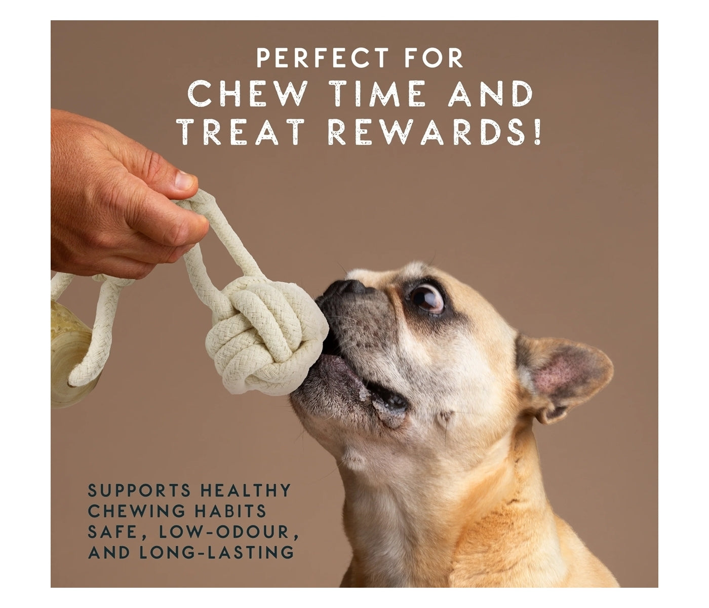 Elkwood - Coffee Wood Double Rope Dog Toy - Buy Online SPR Centre UK