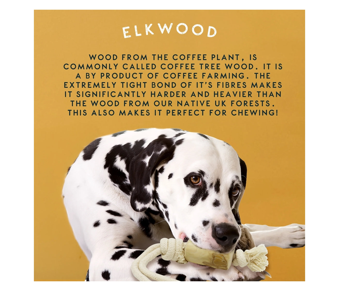 Elkwood - Coffee Wood Rope Dog Toy - Buy Online SPR Centre UK