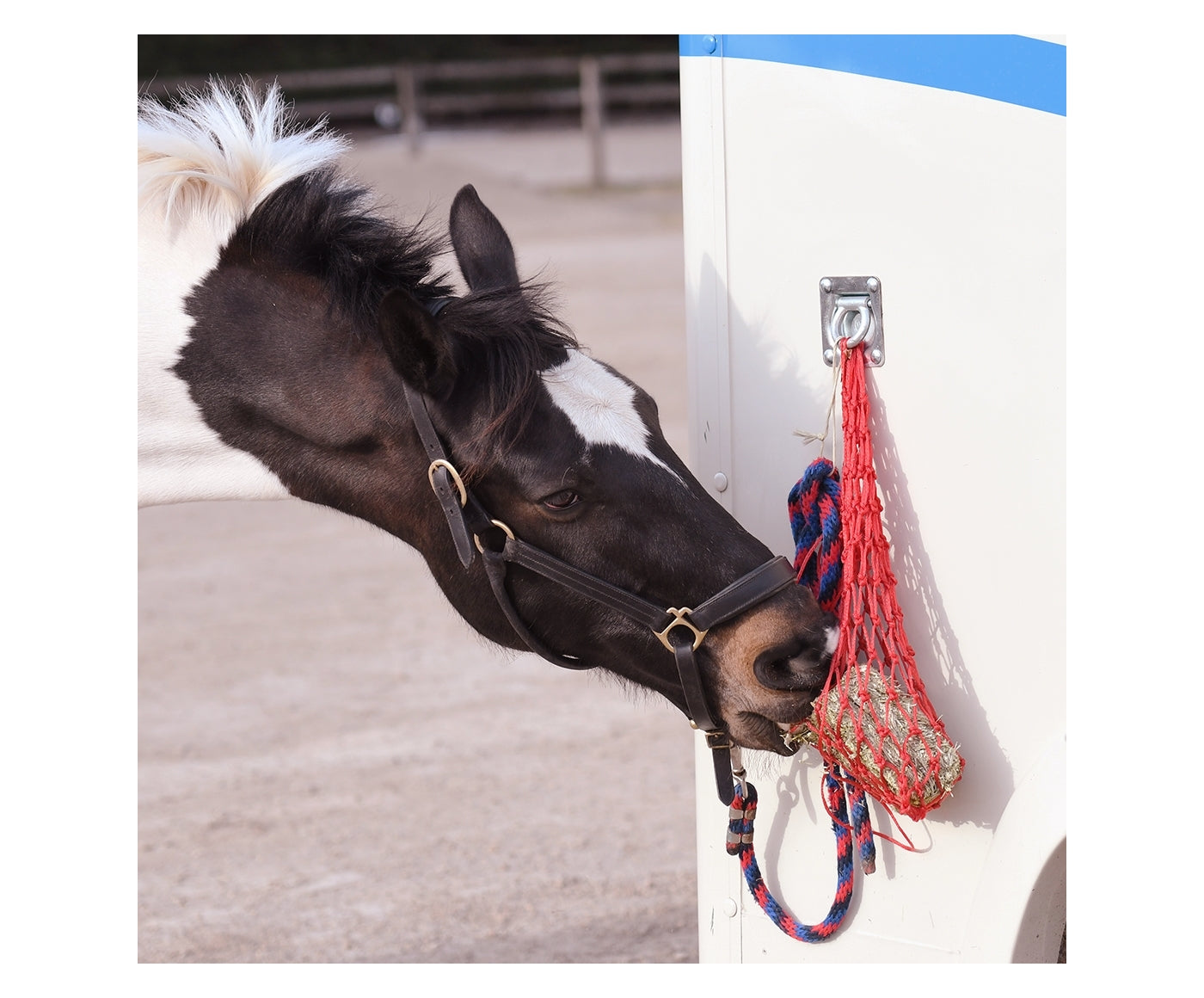 Equilibrium Munch Net (Red) | Forage Block Holder for Horses - Buy Online SPR Centre UK