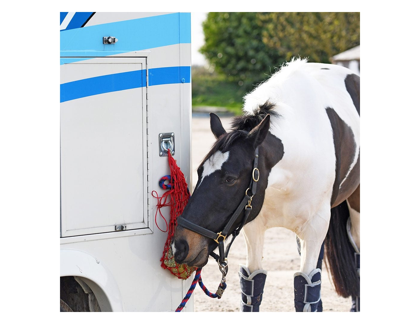 Equilibrium Munch Net (Red) | Forage Block Holder for Horses - Buy Online SPR Centre UK