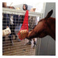 Equilibrium Munch Net (Red) | Forage Block Holder for Horses - Buy Online SPR Centre UK
