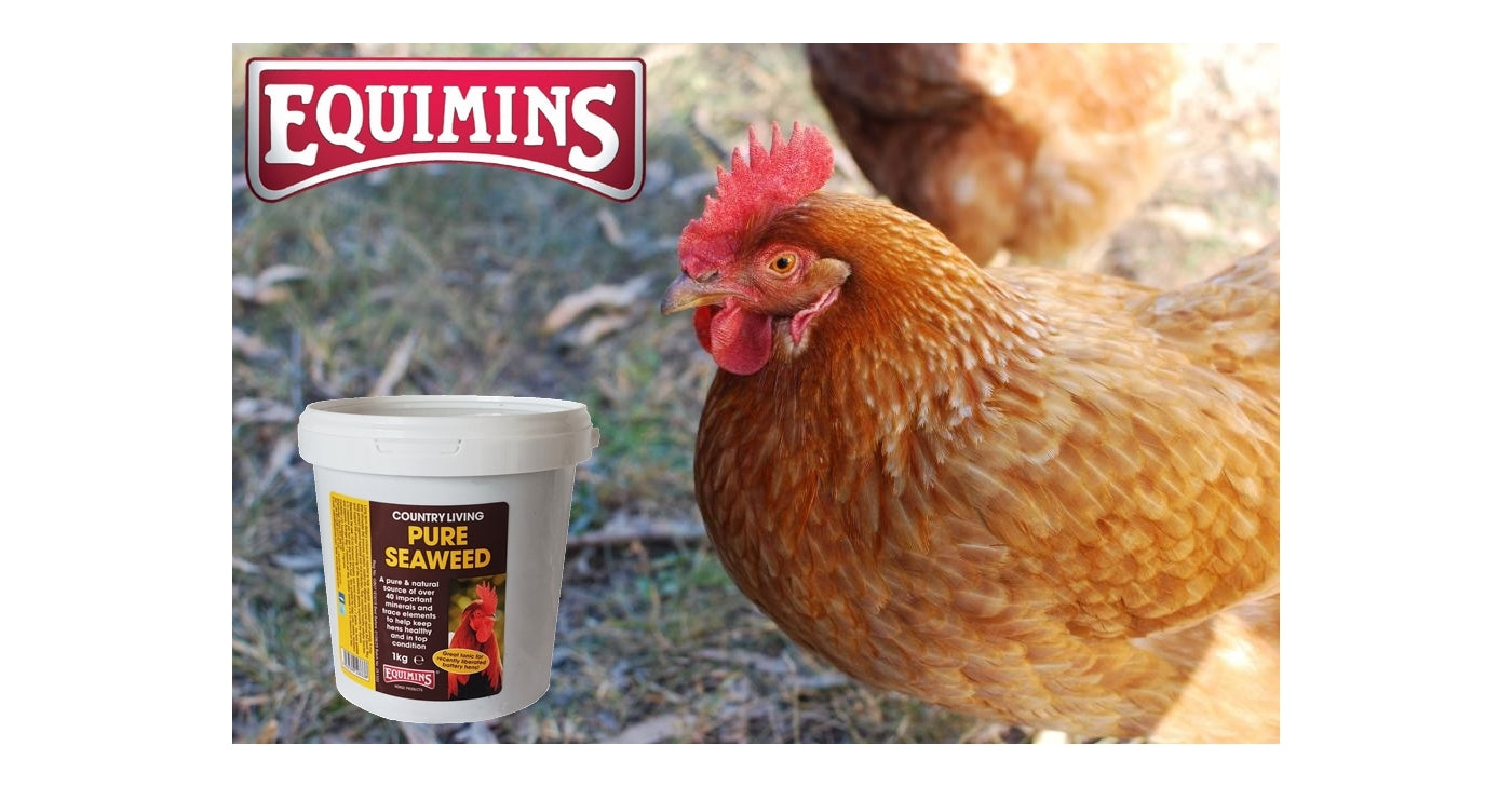 Equimins Country Living Pure Seaweed - for poultry, pigeons, dogs, cats and small animals - Buy Online SPR Centre UK