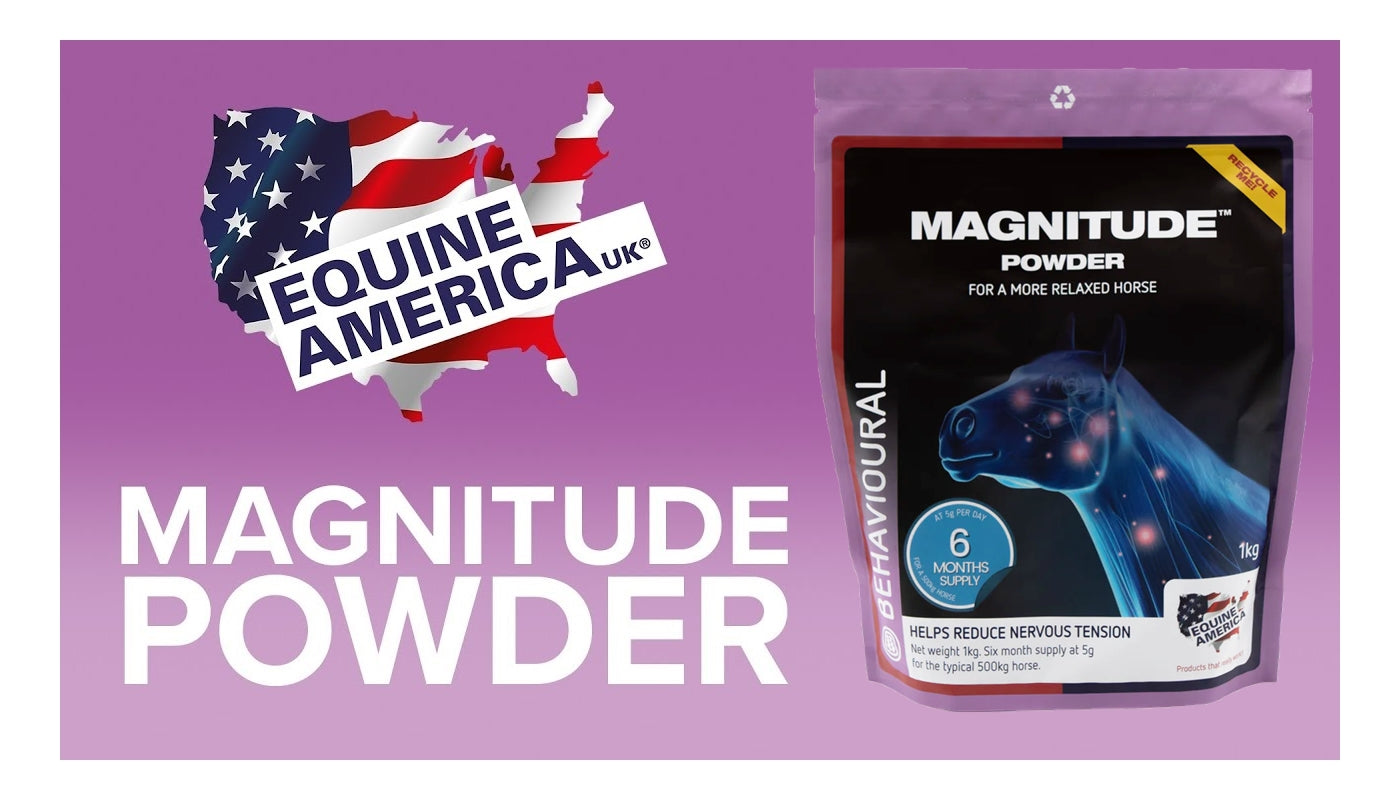 Equine America - Magnitude Powder - Buy Online SPR Centre UK