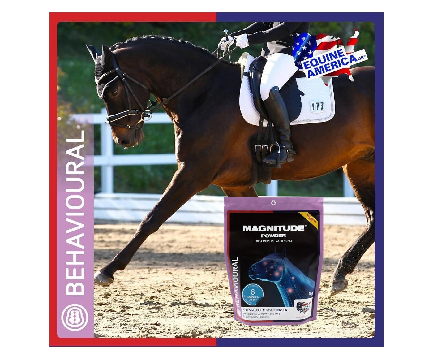 Equine America - Magnitude Powder - Buy Online SPR Centre UK