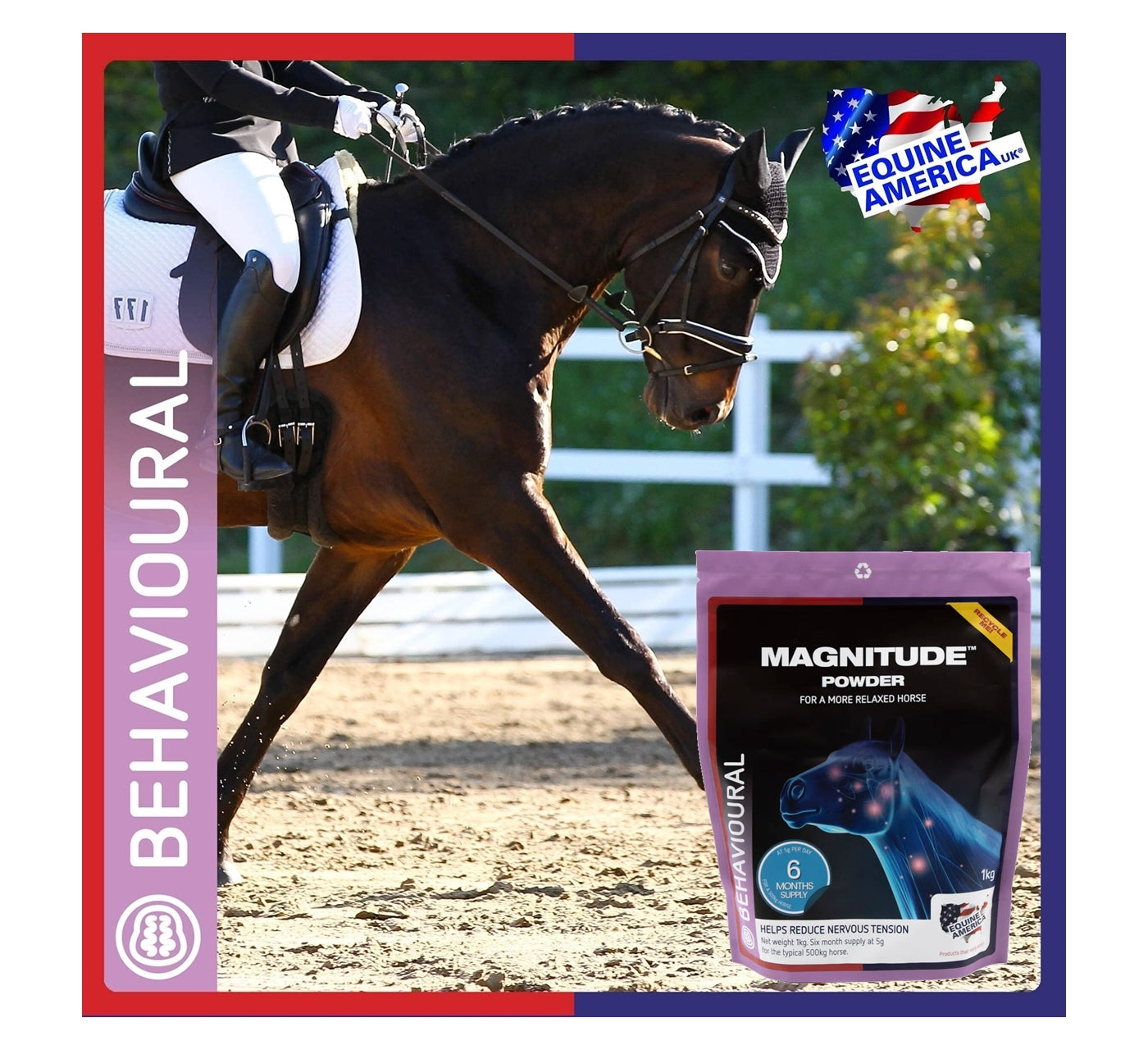 Equine America - Magnitude Powder - Buy Online SPR Centre UK