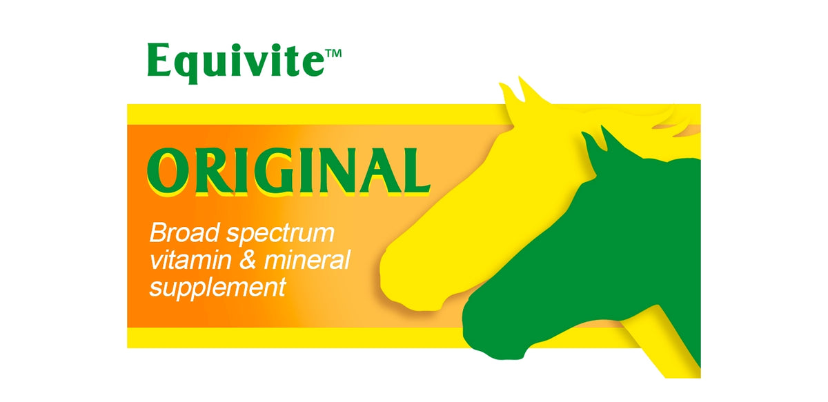 Sequivite Equivite Original | Horse Care Supplement - Buy Online SPR Centre UK