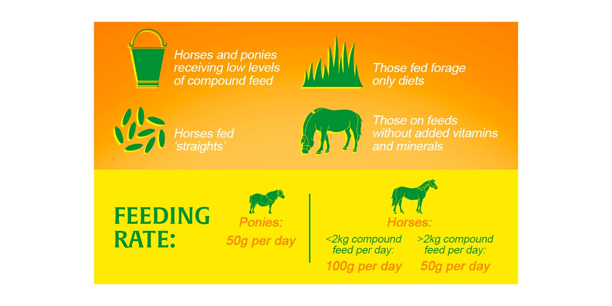 Sequivite Equivite Original | Horse Care Supplement - Buy Online SPR Centre UK
