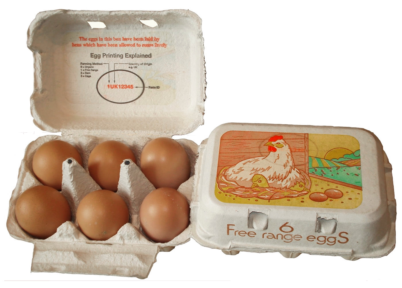 Egg box online